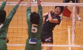 83o838C815B.jpg