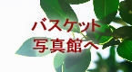 5月26日写真館へ