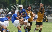 09602-SRFF-19.JPG