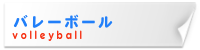 バレーボール