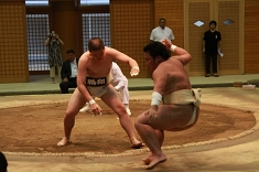 sumo_07.jpg