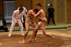 sumo_09.jpg