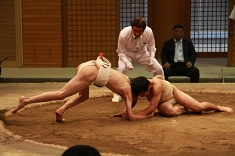 sumo_10.jpg