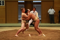 sumo_11.jpg