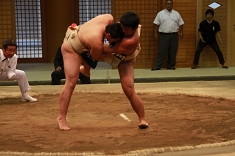sumo_13.jpg