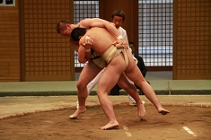 sumo_15.jpg