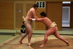 sumo_16.jpg