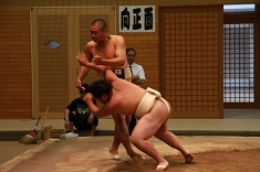 sumo_19.jpg