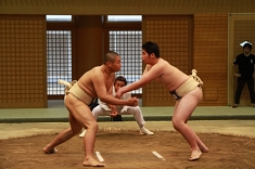 sumo_20.jpg