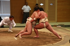 sumo_22.jpg