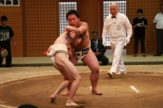 sumo_24.jpg