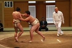 sumo_25.jpg