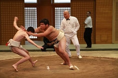 sumo_28.jpg