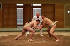 sumo_30.jpg