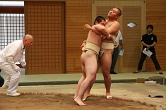 sumo_33.jpg