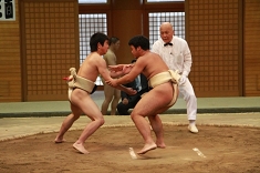 sumo_34.jpg