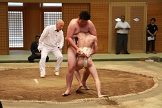 sumo_36.jpg