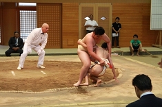 sumo_37.jpg