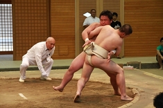 sumo_39.jpg