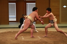 sumo_45.jpg