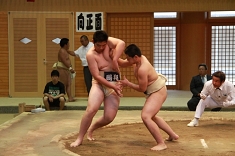 sumo_50.jpg