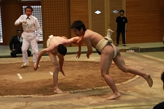 sumo_54.jpg