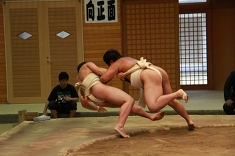 sumo_60.jpg