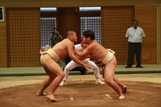 sumo_04.jpg