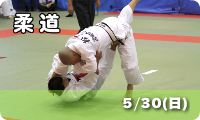 柔道　5/30