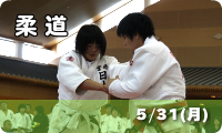 柔道　5/31