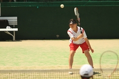 softT-3_86.jpg