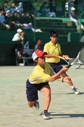 softT-3_33.jpg