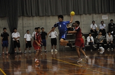 handb601_17.jpg