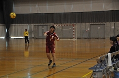 handb601_41.jpg
