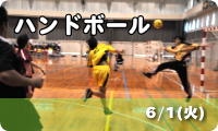 ハンドボール　6/1