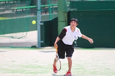 tens530m_13.jpg