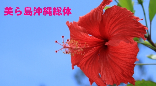 美ら島沖縄総体