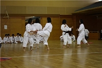 s-IMG_2984.jpg