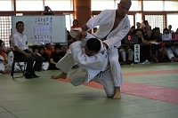 sotai-judo-m_11-05-30_23.jpg