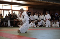 sotai-judo-m_11-05-30_67.jpg