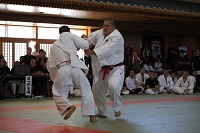 sotai-judo-m_11-05-30_92.jpg